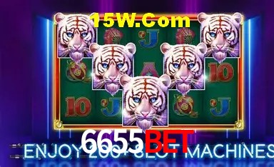 Estatísticas do Jogo 6655Bet